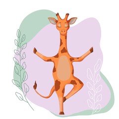 Cute giraffe animals of Africa in yoga and meditation pose. Digital illustration, hand-drawn by isolates.