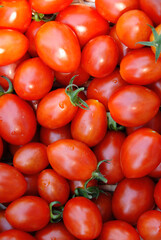 Solanum lycopersicum 'Sweet Baby' , Tomate