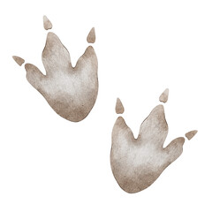Two dinosaur footprints. Isolated hand drawn watercolor illustration. A clipart pair of Animal traces for children's invitation cards, parties, baby shower, decoration of kid's rooms © Fedulova_art