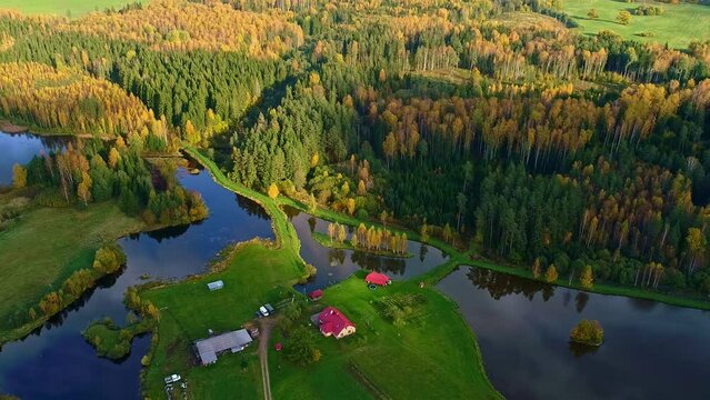 Rural homestead surrounded with lakes and autumn forest, aerial view