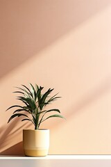 Potted plant on table in front of beige wall, in the style of minimalist backgrounds, exotic