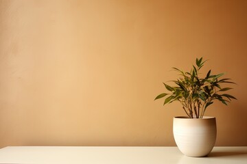 Potted plant on table in front of beige wall, in the style of minimalist backgrounds, exotic