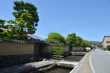 新緑の上賀茂神社　社家通り　京都市北区 © ogurisu