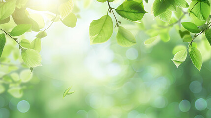 Spring background, green tree leaves on blurred background.