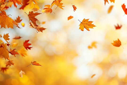 Autumn falling maple leaves on orange blurred background with copy space
