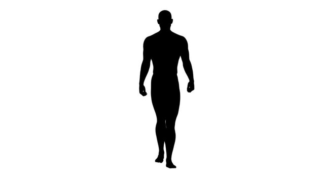 3D Render : a silhouettes walking male character with white background, front view