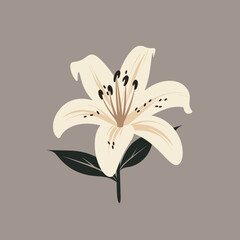 Lily flower on neutral background. Vector illustration of blooming floral for your design, wedding invitation, greeting card