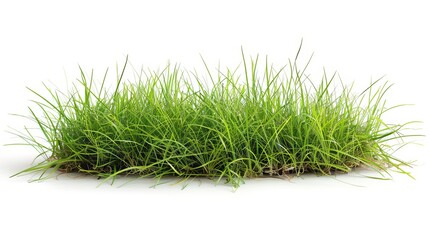 Another depiction of isolated green grass on a white background, reinforcing the theme of simplicity and nature in design