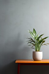 Potted plant on table in front of gray wall, in the style of minimalist backgrounds, exotic, gray