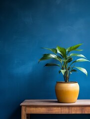 Potted plant on table in front of indigo wall, in the style of minimalist backgrounds, exotic