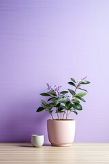 Potted plant on table in front of lilac wall, in the style of minimalist backgrounds, exotic, lilac