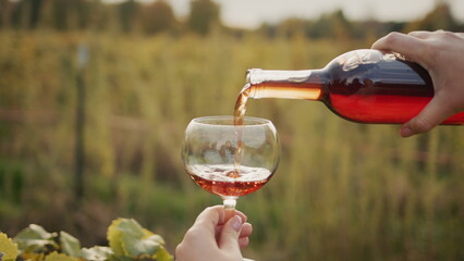 The taster pours red wine into a glass against the backdrop of vineyards. Slow motion 4k video