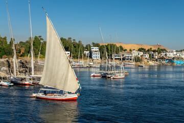Felucca (traditional egyptian sailing boat) on the Nile river in Aswan, Egypt - obrazy, fototapety, plakaty