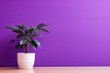 Potted plant on table in front of purple wall, in the style of minimalist backgrounds, exotic