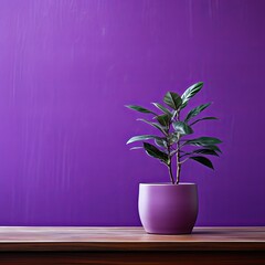 Potted plant on table in front of purple wall, in the style of minimalist backgrounds, exotic