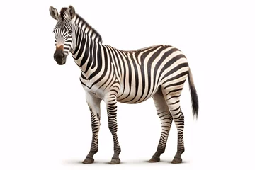 Poster a zebra standing on a white background © Mihai