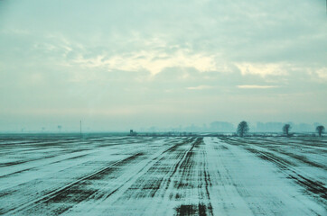 a serene and cold landscape where the green rows of a farm field are lightly covered with snow,...