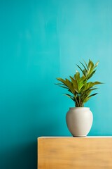 Potted plant on table in front of turquoise wall, in the style of minimalist backgrounds, exotic