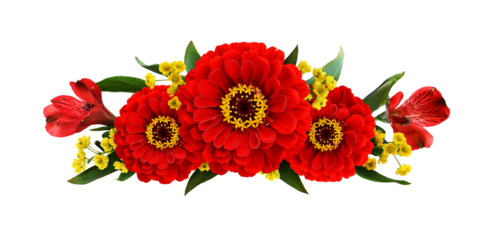 Red zinnia and alstroemeria flowers in a line floral arrangement isolated on white or transparent background