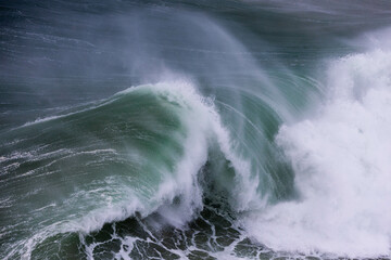 Big wave in the ocean