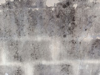 wall