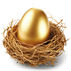Naklejka na ściany i meble a golden egg in a small nest, on transparency background PNG