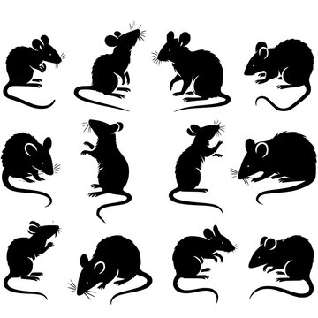 set of silhouettes of mouse