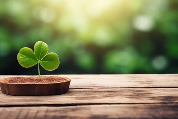 Foto op Canvas Fresh green lucky clover leaf on beautiful bokeh background with space for text or copy space © Светлана Акифьева