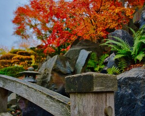 Japanischer Garten
