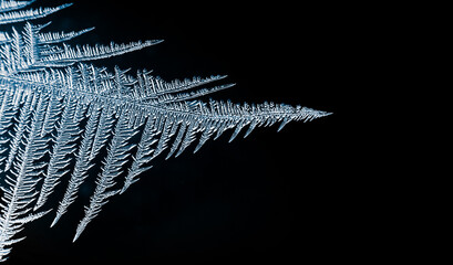 Frosty ice crystals on a black background. Natural rime texture.