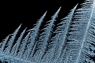 Frosty ice crystals on a black background. Natural rime texture.