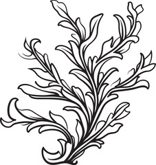 Seaweed Sketchbook Doodle Seaweed Vector Graphics Inviting Creative Exploration Underwater Whimsy Vector Logo with Doodle Seaweed Design for Aquatic Charm