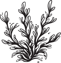 Ocean Odyssey Vector Logo with Doodle Seaweed Illustration for Seafaring Journeys Seaside Symmetry Vector Design with Doodle Seaweed Icon for Coastal Harmony