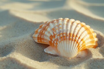 Fototapeta na wymiar A detailed image of a seashell on the sand, showing intricate patterns and a serene beach vibe, perfect for travel brochures or relaxation-themed content.