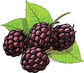 Fresh blackberry with Leaves