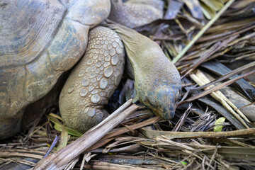 Different water texture with geometric lines