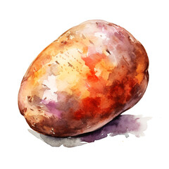Fototapeta premium image of a potato with an artistic watercolour style, isolated white background, natural and appetising colours сreated with Generative Ai