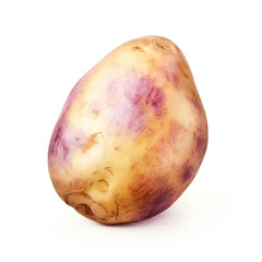 image of a potato with an artistic watercolour style, isolated white background, natural and appetising colours сreated with Generative Ai