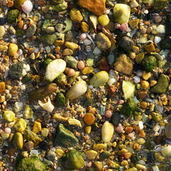 Sunlit Coastal Beach Pebbles And Shells Texture Top View