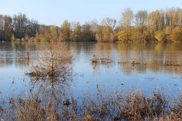 Loire river bank in Combleux village