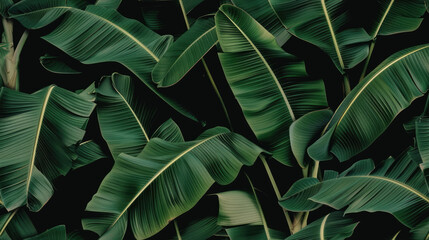 tile texture close up of green leaves