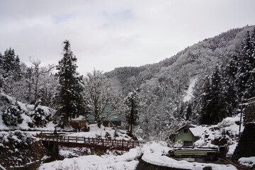 Jigokudani Monkey Park in Japan.
