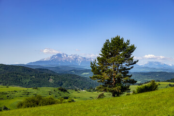 Beautiful panorama of the Pass over Tokarnia. Slovakia. View of the Tatra Mountains. - 764771022
