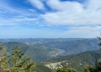 Obraz premium view of the mountains, forest 