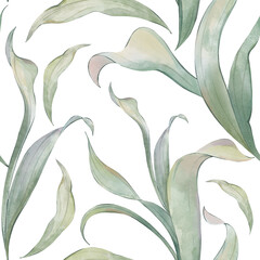 Watercolor floral seamless patterns