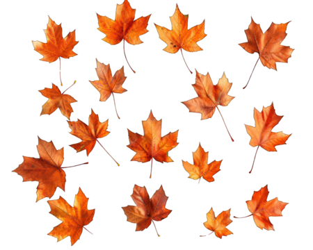 Autumn leaves seamless pattern background - Powered by Adobe
