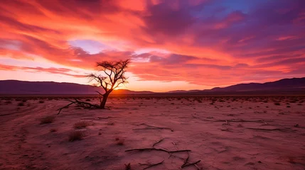 Deurstickers sunset in the desert © Revane