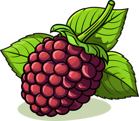 Vector Illustration of Fresh blackberry and Leaves