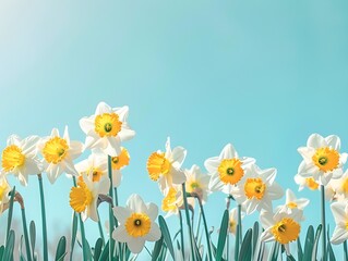 Obraz premium White and yellow colors daffodils on soft blue background, springtime, retro style, vintage, nostalgic.