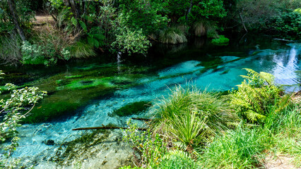 Hamurana Springs